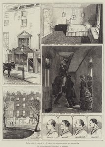 The Fenian Dynamite Conspiracy i England